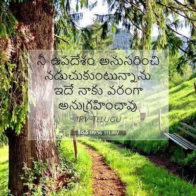 Picture 07 - కీర్తన 119:56 TELIRV - నీ ఉపదేశం - Bible Verse Picture