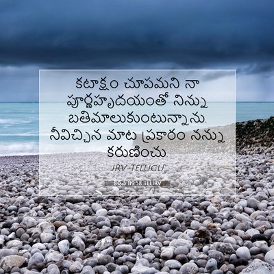 Picture 07 - కీర్తన 119:58 TELIRV - కటాక్షం చూపమని నా - Bible Verse Picture