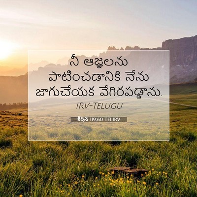 Picture 07 - కీర్తన 119:60 TELIRV - నీ ఆజ్ఞలను - Bible Verse Picture
