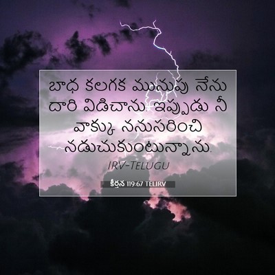 Picture 07 - కీర్తన 119:67 TELIRV - బాధ కలగక మునుపు - Bible Verse Picture