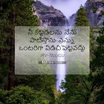 Picture 07 - కీర్తన 119:8 TELIRV - నీ కట్టడలను నేను - Bible Verse Picture
