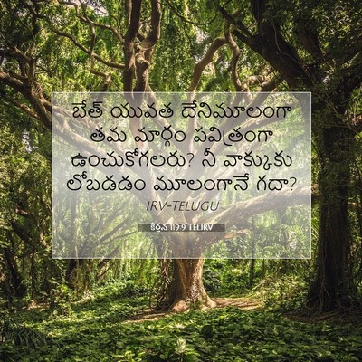 Picture 07 - కీర్తన 119:9 TELIRV - బేత్‌ యువత - Bible Verse Picture