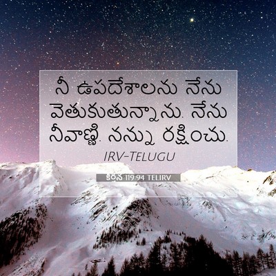 Picture 07 - కీర్తన 119:94 TELIRV - నీ ఉపదేశాలను నేను - Bible Verse Picture