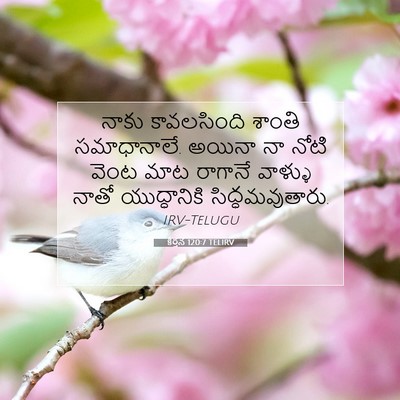 Picture 07 - కీర్తన 120:7 TELIRV - నాకు కావలసింది - Bible Verse Picture