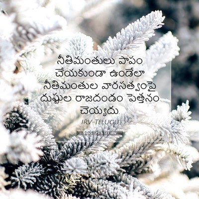 Picture 07 - కీర్తన 125:3 TELIRV - నీతిమంతులు పాపం - Bible Verse Picture