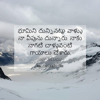 Picture 07 - కీర్తన 129:3 TELIRV - భూమిని - Bible Verse Picture