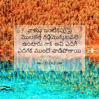 Picture 07 - కీర్తన 129:6 TELIRV - వాళ్ళు - Bible Verse Picture