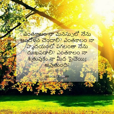 Picture 07 - కీర్తన 13:2 TELIRV - ఎంతకాలం నా - Bible Verse Picture