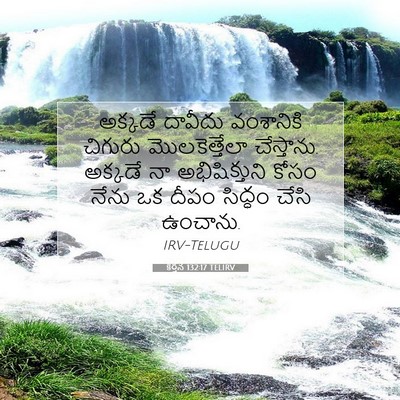 Picture 07 - కీర్తన 132:17 TELIRV - అక్కడే దావీదు - Bible Verse Picture