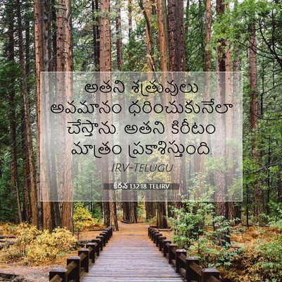 Picture 07 - కీర్తన 132:18 TELIRV - అతని శత్రువులు - Bible Verse Picture