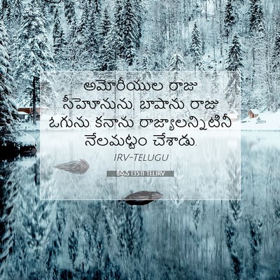 Picture 07 - కీర్తన 135:11 TELIRV - అమోరీయుల రాజు - Bible Verse Picture