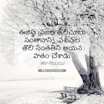Picture 07 - కీర్తన 135:8 TELIRV - ఈజిప్టు ప్రజల - Bible Verse Picture