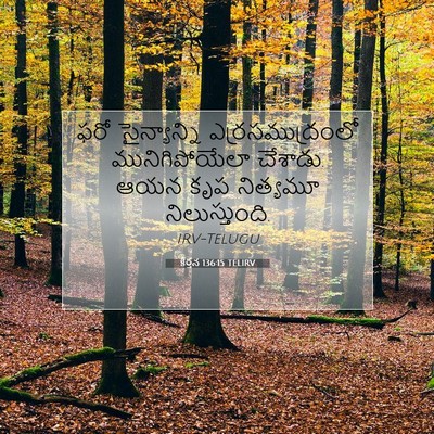 Picture 07 - కీర్తన 136:15 TELIRV - ఫరో సైన్యాన్ని - Bible Verse Picture