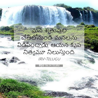 Picture 07 - కీర్తన 136:24 TELIRV - మన శత్రువుల - Bible Verse Picture