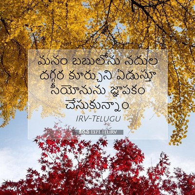 Picture 07 - కీర్తన 137:1 TELIRV - మనం బబులోను నదుల - Bible Verse Picture
