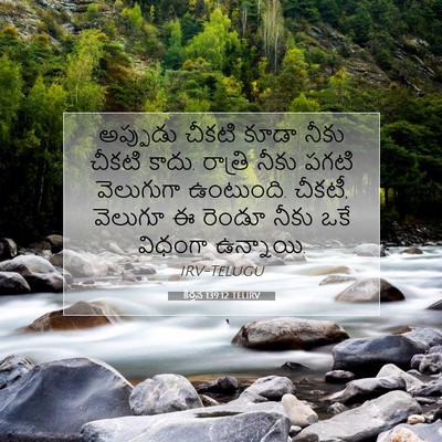 Picture 07 - కీర్తన 139:12 TELIRV - అప్పుడు చీకటి - Bible Verse Picture