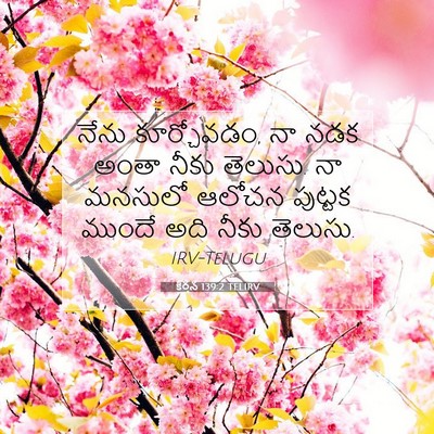 Picture 07 - కీర్తన 139:2 TELIRV - నేను కూర్చోవడం, నా - Bible Verse Picture