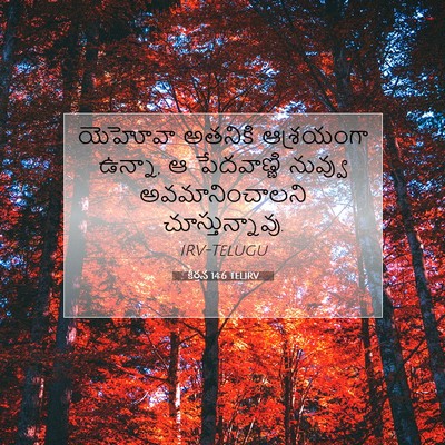 Picture 07 - కీర్తన 14:6 TELIRV - యెహోవా అతనికి - Bible Verse Picture