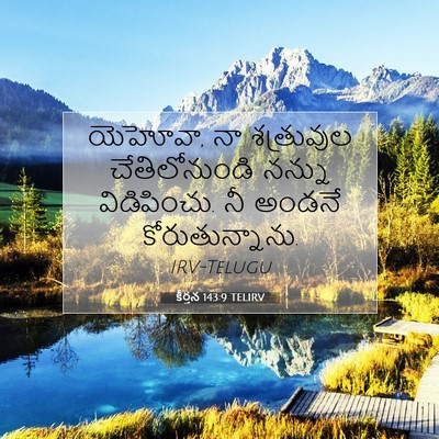 Picture 07 - కీర్తన 143:9 TELIRV - యెహోవా, నా - Bible Verse Picture
