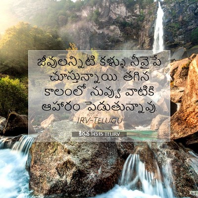 Picture 07 - కీర్తన 145:15 TELIRV - జీవులన్నిటి కళ్ళు - Bible Verse Picture