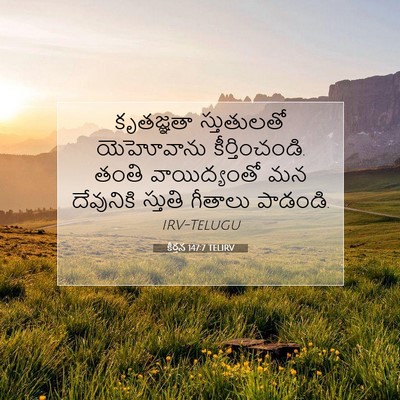 Picture 07 - కీర్తన 147:7 TELIRV - కృతజ్ఞతా - Bible Verse Picture