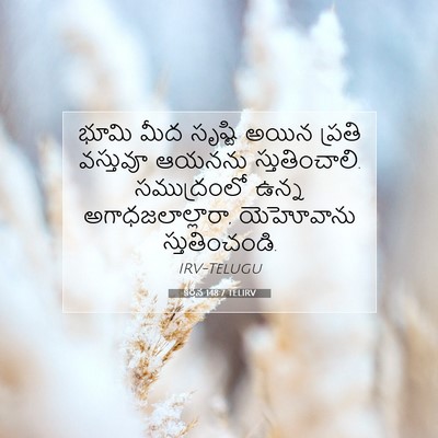 Picture 07 - కీర్తన 148:7 TELIRV - భూమి మీద సృష్టి - Bible Verse Picture