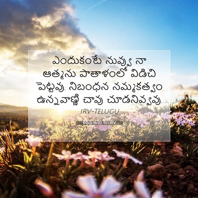 Picture 07 - కీర్తన 16:10 TELIRV - ఎందుకంటే నువ్వు - Bible Verse Picture