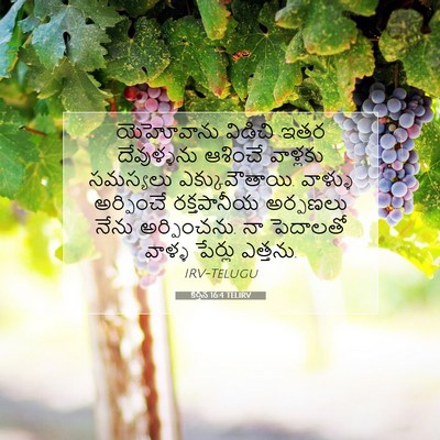 Picture 07 - కీర్తన 16:4 TELIRV - యెహోవాను విడిచి - Bible Verse Picture