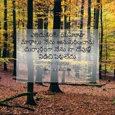 Picture 07 - కీర్తన 18:21 TELIRV - ఎందుకంటే యెహోవా - Bible Verse Picture