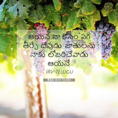 Picture 07 - కీర్తన 18:47 TELIRV - ఆయన నా కోసం పగ - Bible Verse Picture