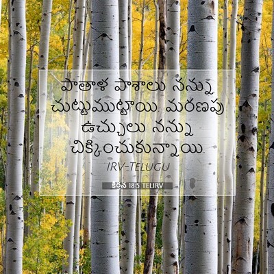 Picture 07 - కీర్తన 18:5 TELIRV - పాతాళ పాశాలు - Bible Verse Picture