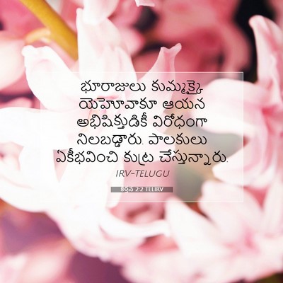 Picture 07 - కీర్తన 2:2 TELIRV - భూరాజులు - Bible Verse Picture