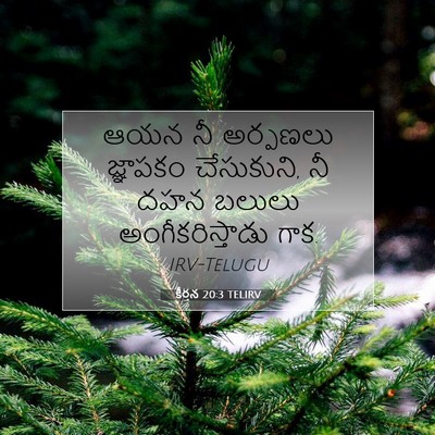 Picture 07 - కీర్తన 20:3 TELIRV - ఆయన నీ అర్పణలు - Bible Verse Picture