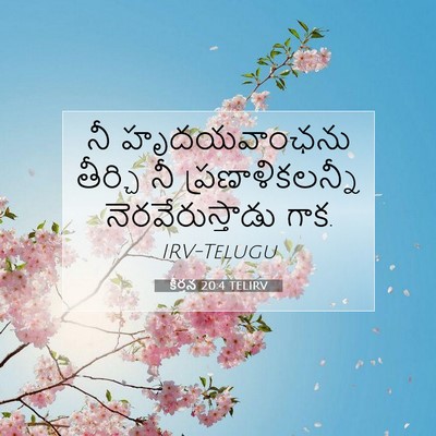 Picture 07 - కీర్తన 20:4 TELIRV - నీ హృదయవాంఛను - Bible Verse Picture
