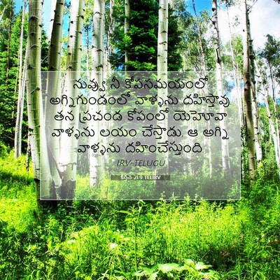Picture 07 - కీర్తన 21:9 TELIRV - నువ్వు నీ - Bible Verse Picture