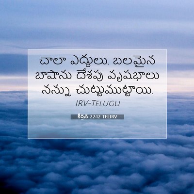 Picture 07 - కీర్తన 22:12 TELIRV - చాలా ఎద్దులు, - Bible Verse Picture