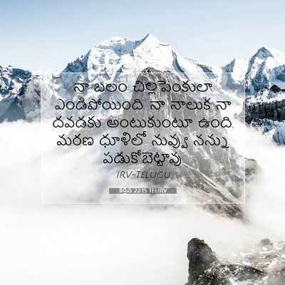 Picture 07 - కీర్తన 22:15 TELIRV - నా బలం - Bible Verse Picture