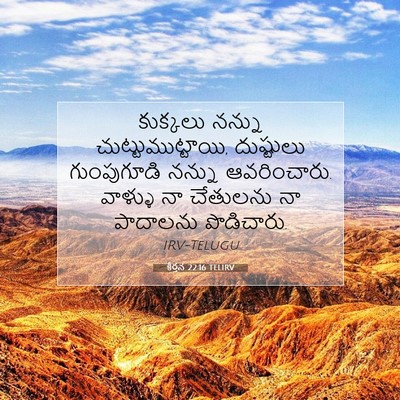 Picture 07 - కీర్తన 22:16 TELIRV - కుక్కలు నన్ను - Bible Verse Picture