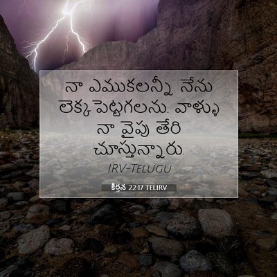 Picture 07 - కీర్తన 22:17 TELIRV - నా ఎముకలన్నీ నేను - Bible Verse Picture