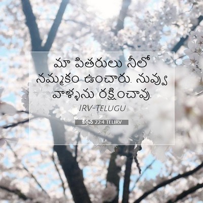 Picture 07 - కీర్తన 22:4 TELIRV - మా పితరులు నీలో - Bible Verse Picture