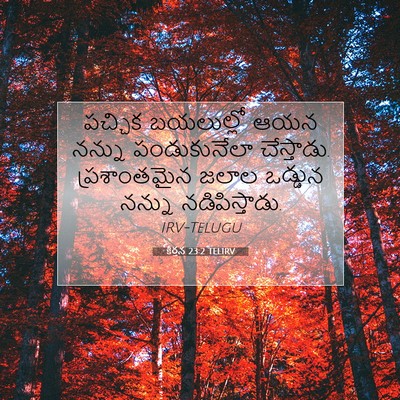 Picture 07 - కీర్తన 23:2 TELIRV - పచ్చిక బయలుల్లో - Bible Verse Picture