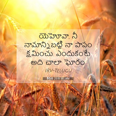 Picture 07 - కీర్తన 25:11 TELIRV - యెహోవా, నీ - Bible Verse Picture