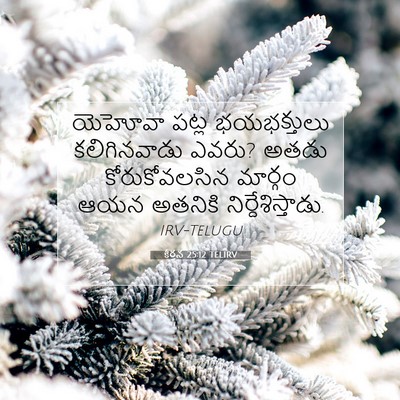 Picture 07 - కీర్తన 25:12 TELIRV - యెహోవా పట్ల - Bible Verse Picture