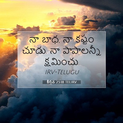 Picture 07 - కీర్తన 25:18 TELIRV - నా బాధ, నా కష్టం - Bible Verse Picture