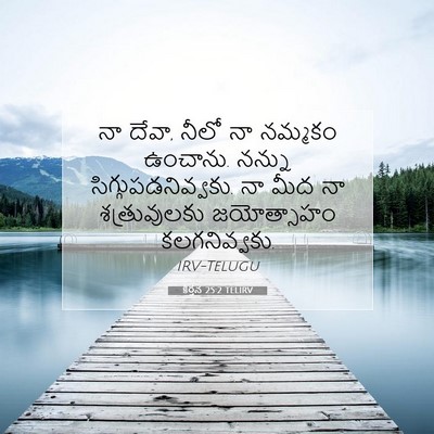 Picture 07 - కీర్తన 25:2 TELIRV - నా దేవా, నీలో నా - Bible Verse Picture