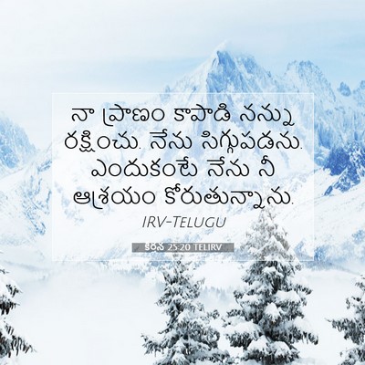 Picture 07 - కీర్తన 25:20 TELIRV - నా ప్రాణం కాపాడి - Bible Verse Picture