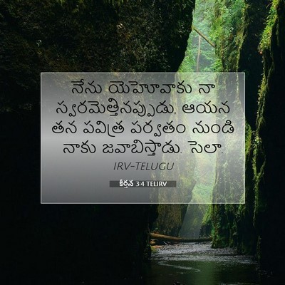Picture 07 - కీర్తన 3:4 TELIRV - నేను యెహోవాకు నా - Bible Verse Picture