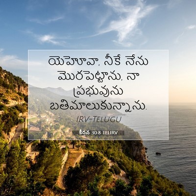 Picture 07 - కీర్తన 30:8 TELIRV - యెహోవా, నీకే నేను - Bible Verse Picture