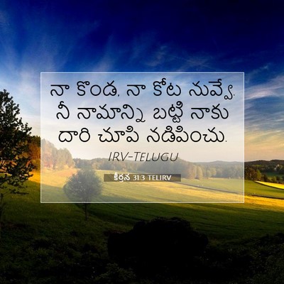 Picture 07 - కీర్తన 31:3 TELIRV - నా కొండ, నా కోట - Bible Verse Picture