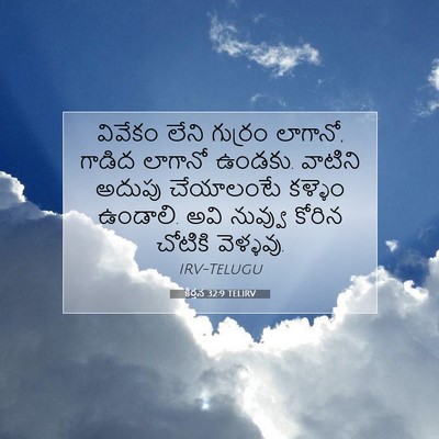 Picture 07 - కీర్తన 32:9 TELIRV - వివేకం లేని - Bible Verse Picture